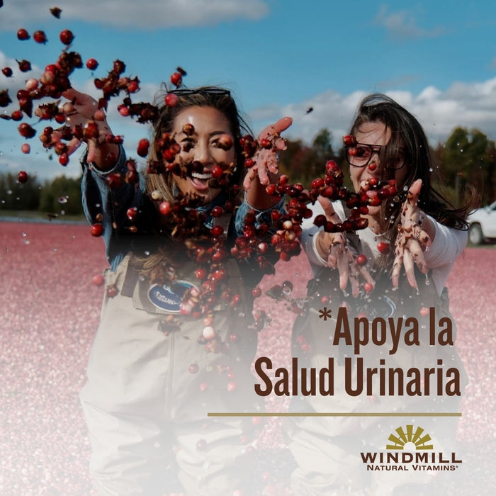 Arándano con Eufrasia y Saúco (60 caps), Windmill