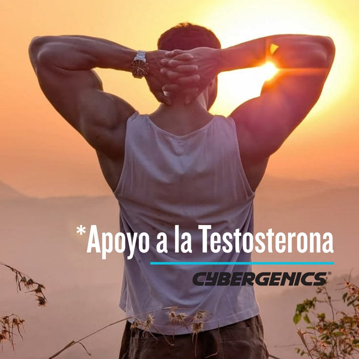 Apoyo a Testosterona ISOTEST Cybergenics® (60 caps), Windmill