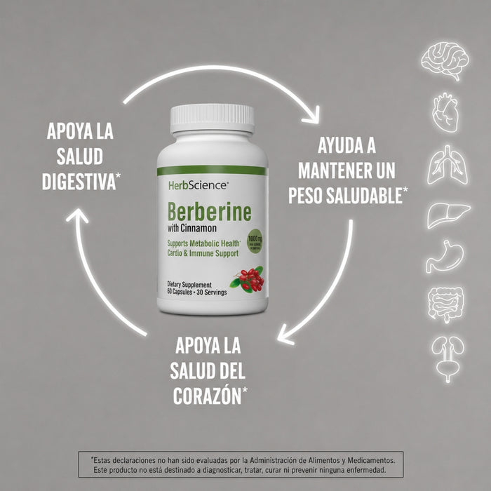 Berberina con Canela HerbScience® (60 caps), Windmill