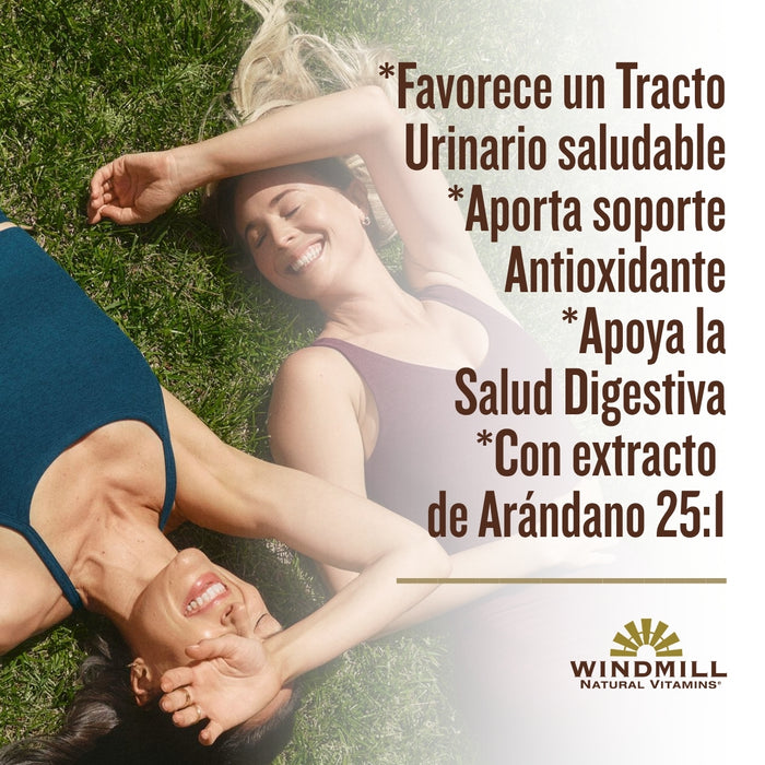 Arándano con Eufrasia y Saúco (60 caps), Windmill
