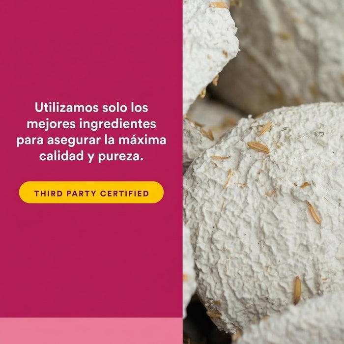 Selenio 200 mcg SelenoExcell® (90 caps), Natural Factors