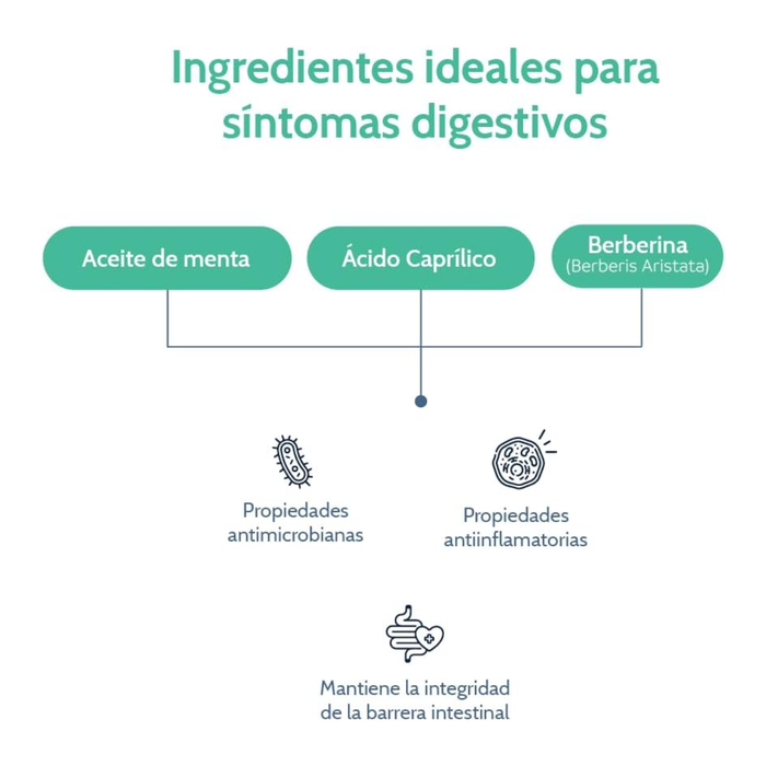 Salud Intestinal, Gut Support (60 caps), NutriADN