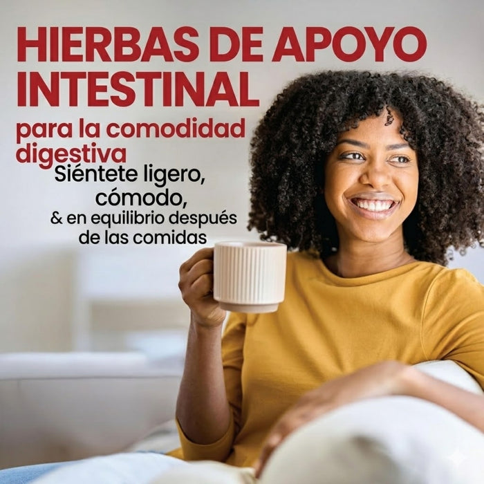 Té Adelgazante para Desintoxicaión Rapid Fire® Sabor Mango (14 pzs), Windmill