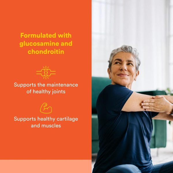 MSM 1000 mg, Articulaciones (90 caps), Natural Factors