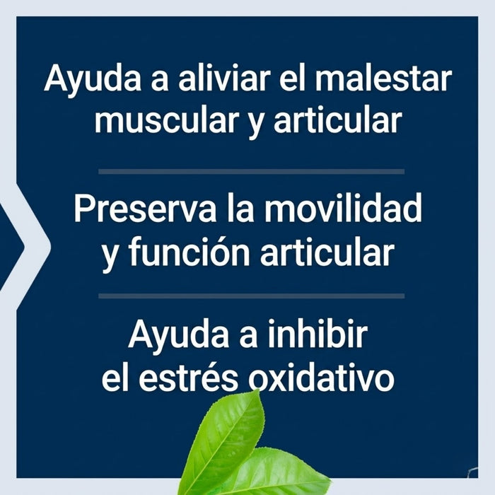 MSM 1000 mg (100 caps), Life Extension