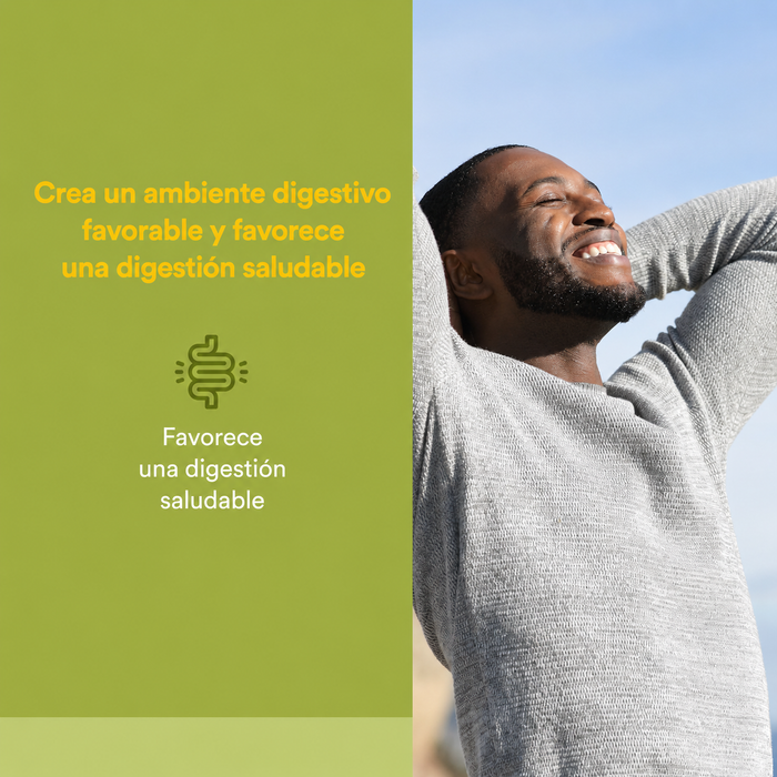 Betaina HCL 500 mg w/ 100 mg Alholva (90 vcap), Natural Factors
