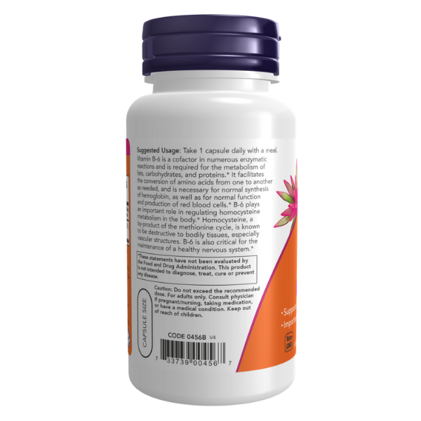 Vitamina B-6 100 mg Soporte Cardiovascular (250 caps)