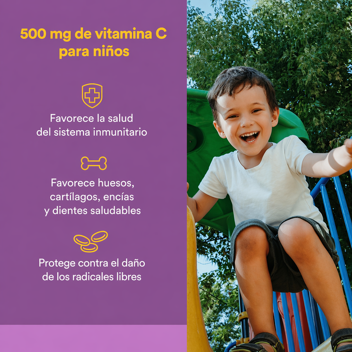 Vitamina C 500 mg Sabor a Mora Azul, Frambuesas & Arandanos (90 tabs), Natural Factors