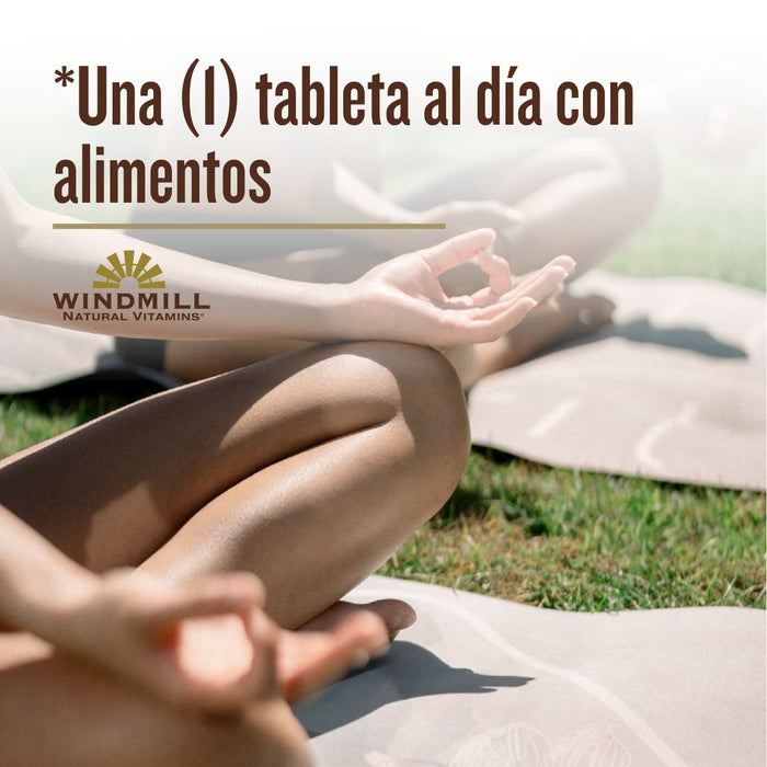 Gluconato de Hierro (100 tabs), Windmill