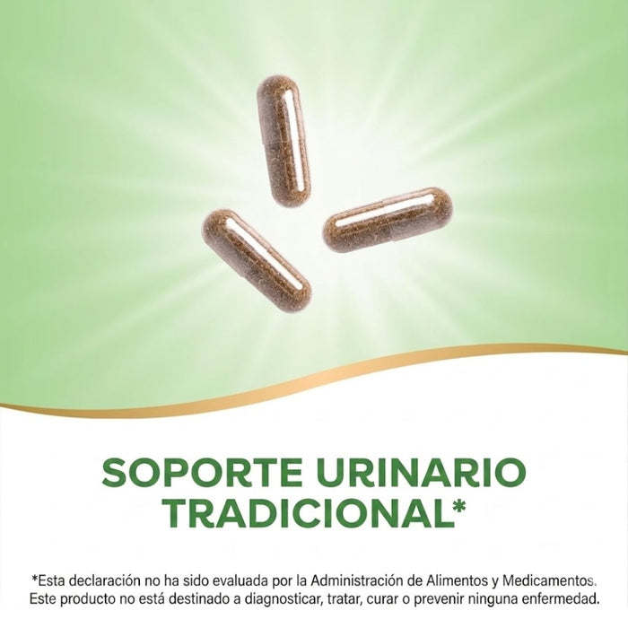 Salud Tracto Urinario, Hoja de Uva Ursi 1110 mg (100 veg caps), Nature's Way