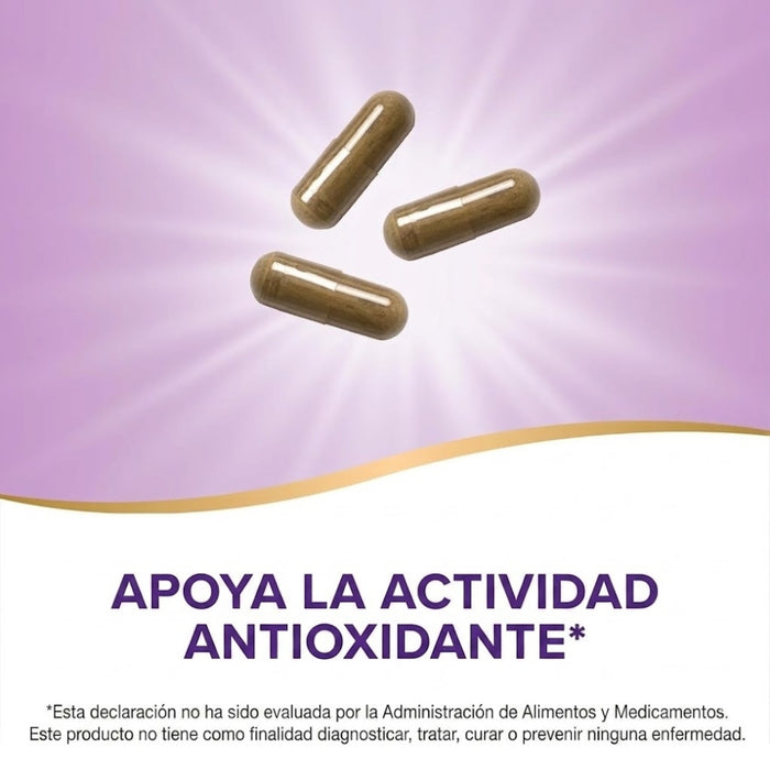 Hoja De Olivo 1500 mg (100 veg caps), Nature's Way