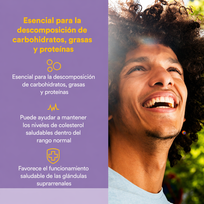 EX B3 Niacin 500 mg Sin Descarga (90 caps), Natural Factors