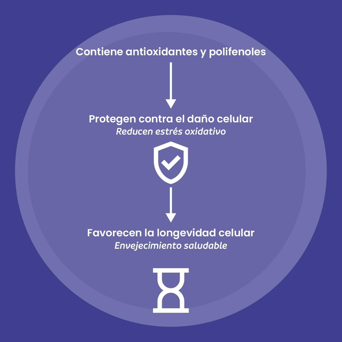 Apoyo a la Longevidad, Longevity Support (90 caps), NutriADN