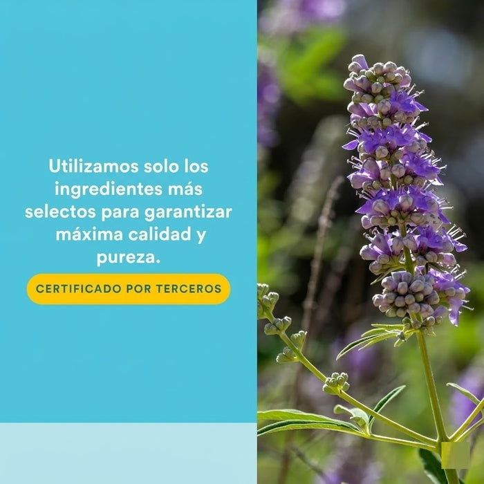 Extracto de Sauzgatillo Vitex 80 mg Chasteberry WomenSense® (90 vcap), Natural Factors