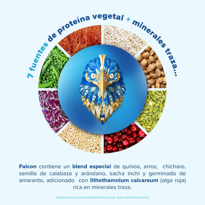 Falcon Proteina Chocolate (510 g), Birdman