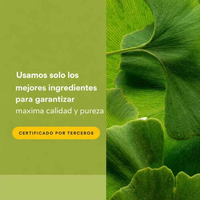 Ginkgo Biloba 60 mg HerbalFactors® (60 caps), Natural Factors