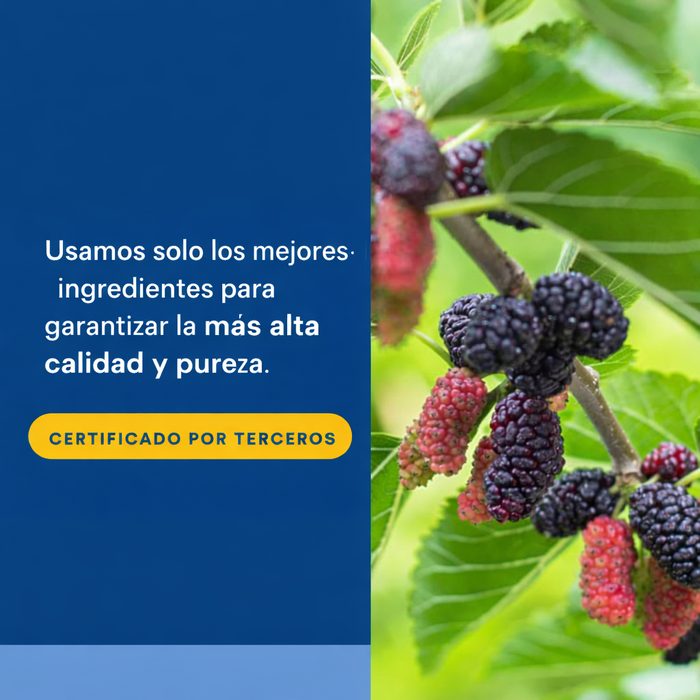 Extracto de Morera 100 mg WellBetX® (90 caps), Natural Factors