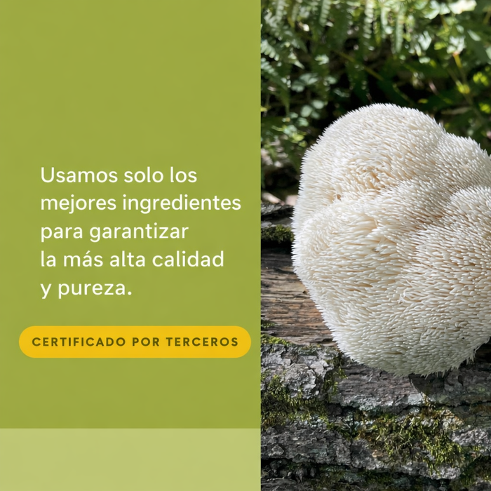 Super Hongo para Sistema Inmune  Whole Earth & Sea® (30 veg caps), Natural Factors