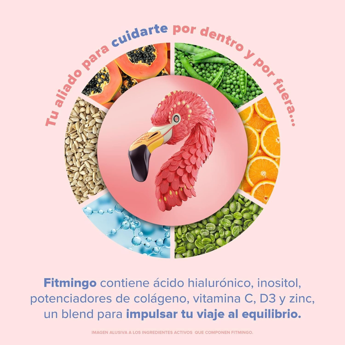 Fitmingo Protein Blueberry (510 g), Birdman