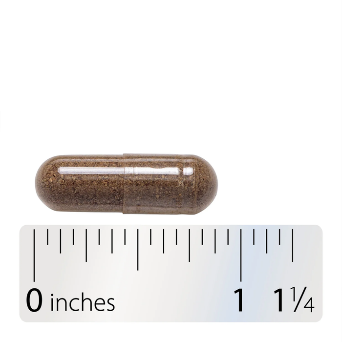 Vitex 400 mg para la Salud Menstrual (100 cápsulas vegetales) | Nature's Way