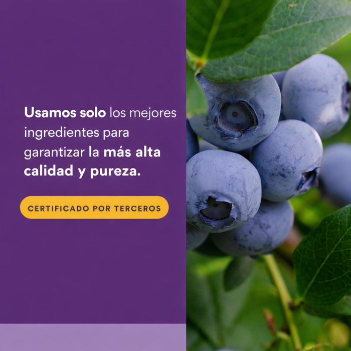 Concentrado de Arándano de Máxima Potencia 500 mg BlueRich® (90 softels), Natural Factors