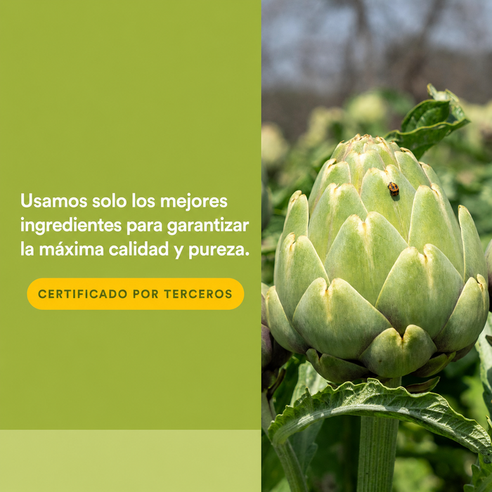 HerbalFactors® Limpieza Liv-Gall (Hígado, Vesícula Biliar) (90 caps), Natural Factors