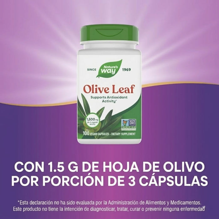 Hoja De Olivo 1500 mg (100 veg caps), Nature's Way