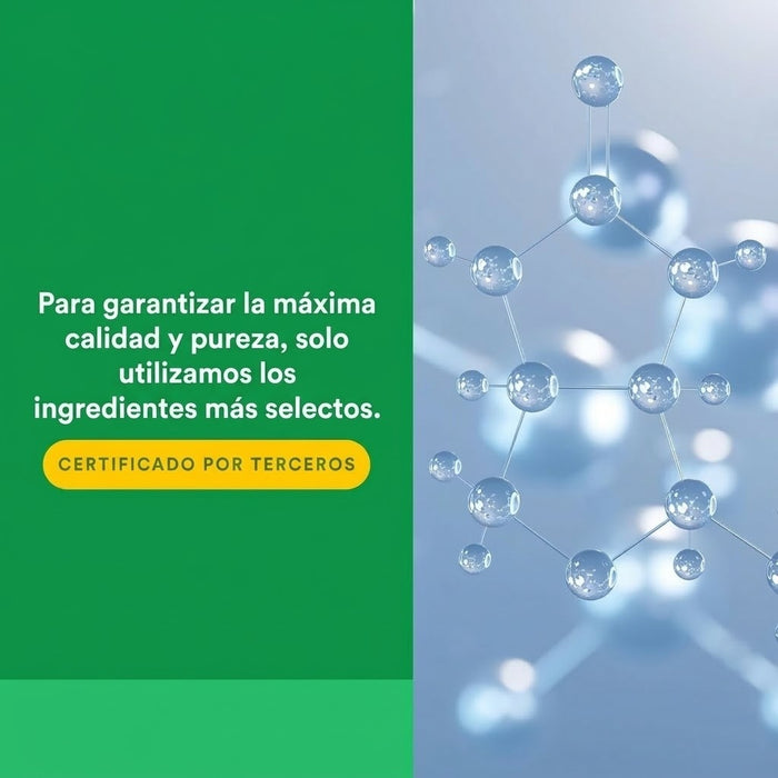 Berberina Matrix LipoMicel 500 mg (60 softgels), Natural Factors