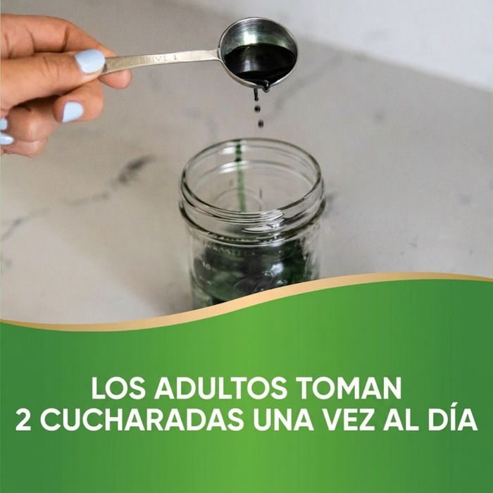 Clorofila Chlorofresh®, Líquido 480 ml (16 fl oz), Nature's Way