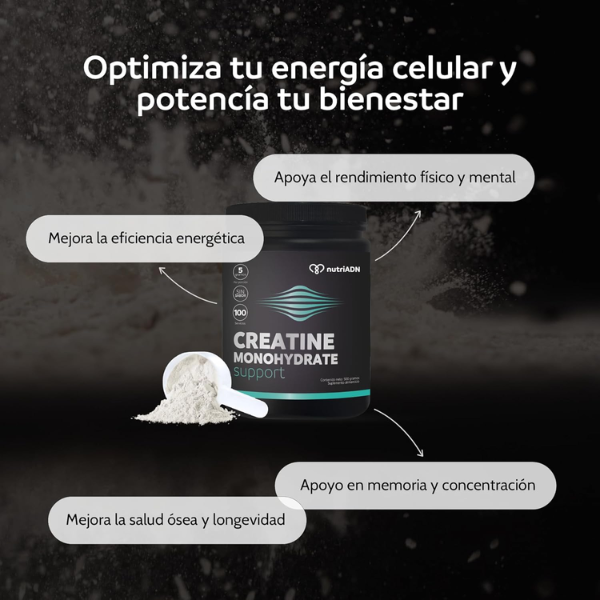 Creatina Monohidratada (300 g), NutriADN