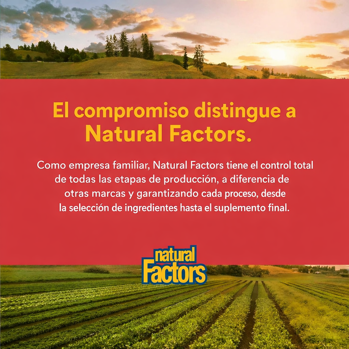 Concentrado de Maca Alta Potencia 500 mg MacaRich® (90 veg caps), Natural Factors