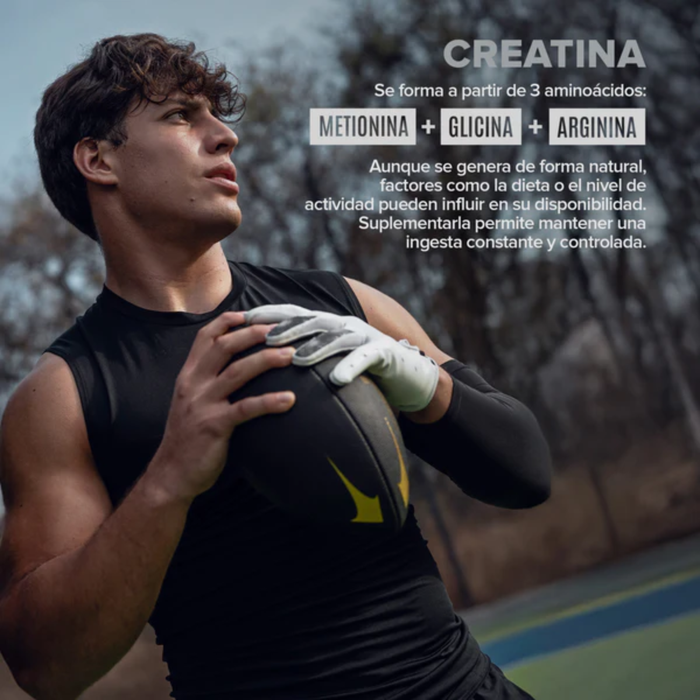 Creatina Monohidratada 450 g (90 porciones), Birdman