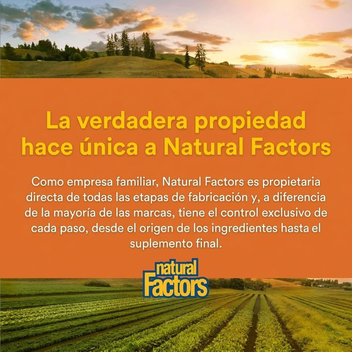 Extracto de Curcuma CurcuminRich® Theracurmin® (30 vcap), Natural Factors
