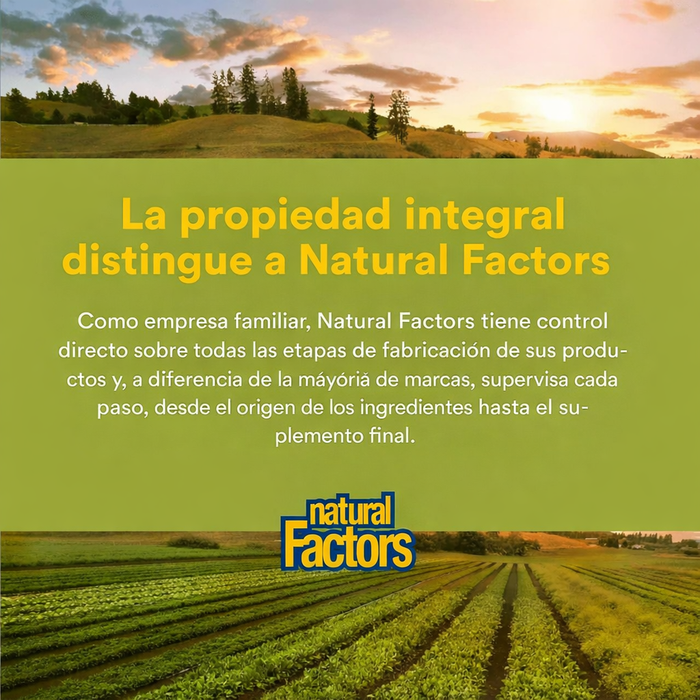 Panax Ginseng, HerbalFactors® (60 softgels), Natural Factors