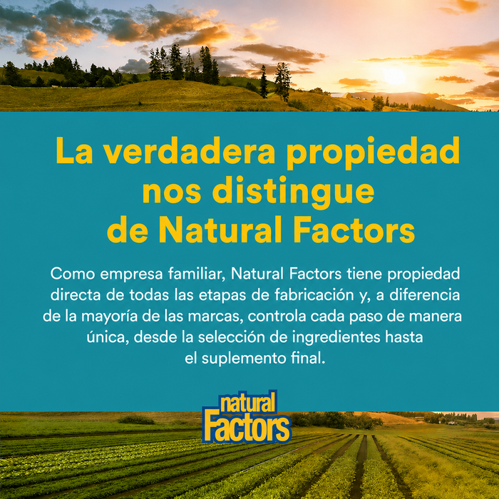 Acido Alfa-Lipoico 100 mg (60 caps), Natural Factors
