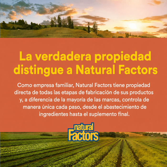 PQQ-10, Apoyo a la Mitocondria (30 softgels), Natural Factors