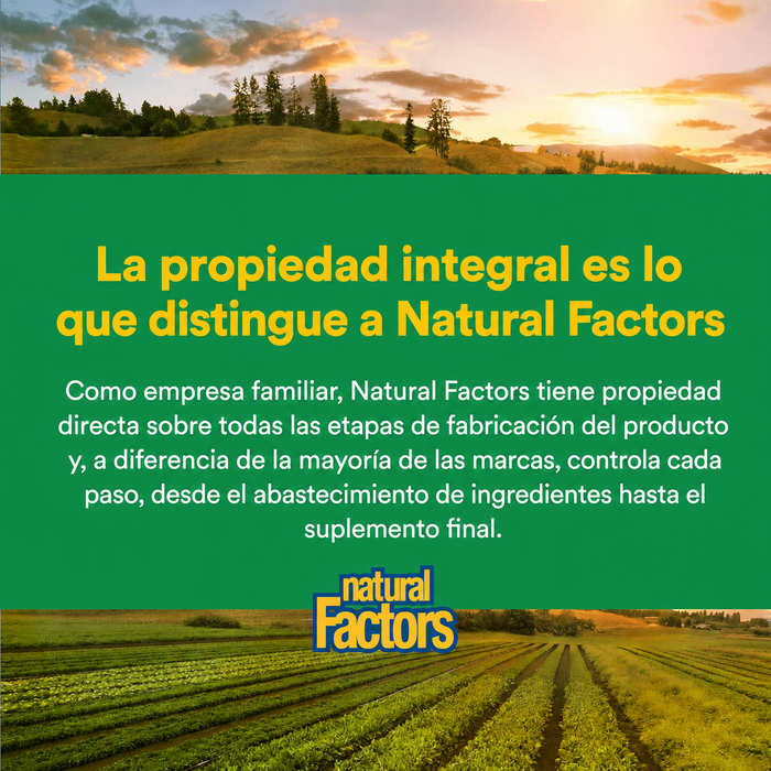 Multi Enzimas Vegetarianas de Alta Potencia (60 vcap), Natural Factors