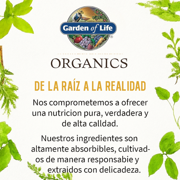 Probiótico de Raíz de Maca, Polvo (7.93 oz 225 g), Garden of Life