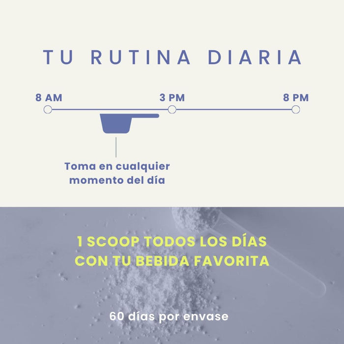 Creatine+ Creatina Monohidratada Micronizada Sin Sabor (300 g, 60 porciones), Reset Wellness