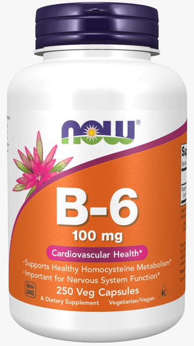 Vitamina B-6 100 mg (250 caps)